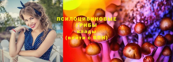 альфа пвп Зеленодольск