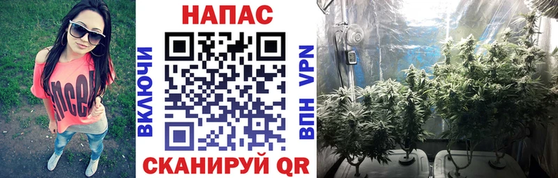 Купить закладки  Слюдянка  Конопля Ganja 